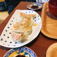 Pig free Gyoza at Veggie House in Chiba