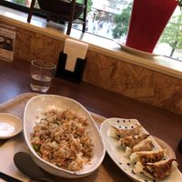 Vegan Fried Rice and Jaozi at Veggie House in Chiba