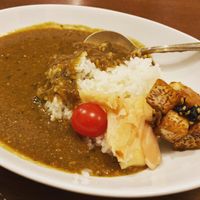 Curry at Veggie House in Chiba