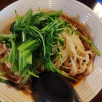 酸辣乾麵 at SùShí Gié Zhī 素食茄 in Taipei