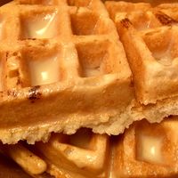 Plain Waffles  at Wildflower Vegan Co in Casselberry