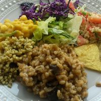 cevadotto de cogumelos e caril de grão ?maravilhoso at Kansha in Fatima