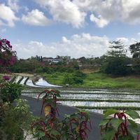 View  at Crate Cafe in Canggu