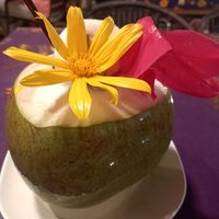  at Thai Herb in Khao Sok