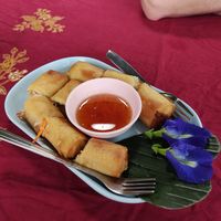 Spring rolls at Thai Herb in Khao Sok
