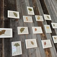 gin(g)ko collection  at Ginko in Graz