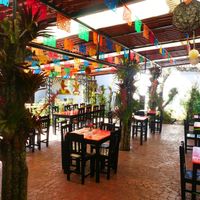 The Garden at Jardin La Reserva Restaurante in San Cristobal De Las Casas