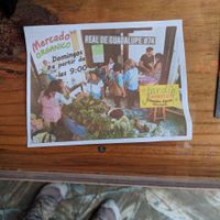 Sunday markets at Jardin La Reserva Restaurante in San Cristobal De Las Casas