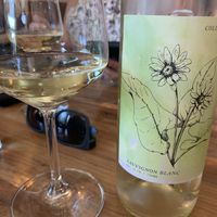 Wautoma Springs wine   at Dovetail Joint in Richland