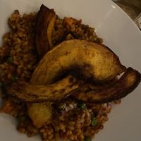 Roasted pumpkin and risottoo  at The Spread Eagle in East London