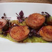 Pan Seared Scallops at The Spread Eagle in East London