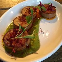 Mushroom scallops at The Spread Eagle in East London