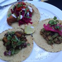 Tacos at The Spread Eagle in East London