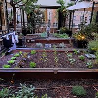  at Flax & Kale - Sant Pere Mes in Barcelona