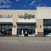  at The Veggie in Madison