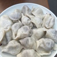 Boiled eggplant dumplings   at Chinese Noodle House in Haymarket