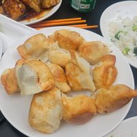 Eggplant dumplings at Chinese Noodle House in Haymarket