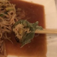 A2 vegetarian dumpling steamed    at Amituofo Vegan Cuisine in Brooklyn