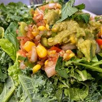 Mexi-bowl on bed of greens   at Planted in Hamilton in Hamilton