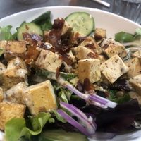 Cesar   at Planted in Hamilton in Hamilton