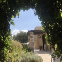 A little sanctuary with sweet grapes  at Kami Suites Hotel in Safed