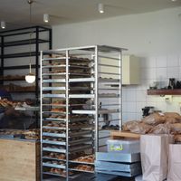 Zaczyn in Kraków at Zaczyn in Krakow