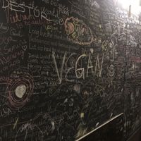 Inside the restaurant. Funky wall  at Hoa Nghiem in Hue