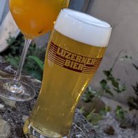 Drinks at Karls Kraut in Luzern