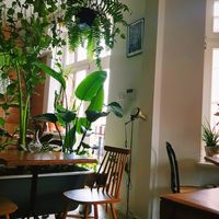 interior at ALE Kosmos in Poznan