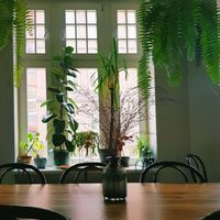 interior at ALE Kosmos in Poznan