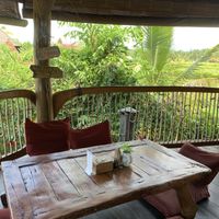 Location  at Dragonfly Cafe in Ubud