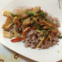 Vegan pork with ginger over rice at Ming Zhen in Chiang Mai