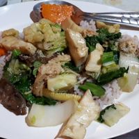 Fried mushrooms on rice =) at Ming Zhen in Chiang Mai