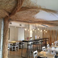 I always eat the food before being able to take a photo. This is the restaurant ❤️🌳  at Alive in Barcelona