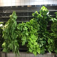 Vegetables! at Xiǎng Shū ZhíRén 饗蔬職人 - VegesM - West District in Taichung