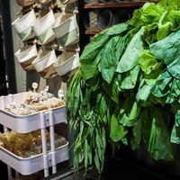 veggies at Xiǎng Shū ZhíRén 饗蔬職人 - VegesM - West District in Taichung