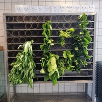 Selection of extremely fresh vegetables at Xiǎng Shū ZhíRén 饗蔬職人- VegesM - North District - Maybe closed in Taichung