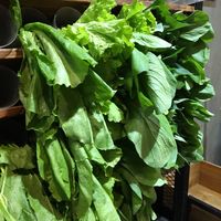 Many fresh greens!  at Xiǎng Shū ZhíRén 饗蔬職人- VegesM - North District - Maybe closed in Taichung