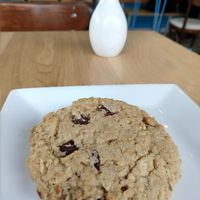 Almond Joy Cookie (Vegan + Gluten-Free) at The Sweet Praxis in Syracuse