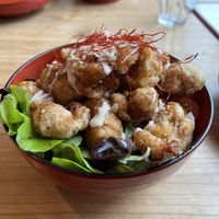 Karaage Don  at Onwa in Nara