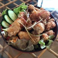 Large portion of karaage bowl  at Onwa in Nara