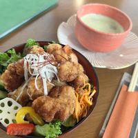 Shojin Karaage  at Onwa in Nara
