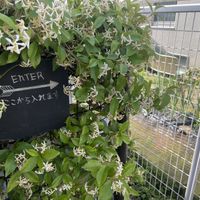 Entrance 😁  at Onwa in Nara