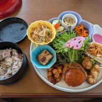Vegan Delight at Onwa in Nara
