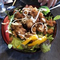 Karaage don at Onwa in Nara