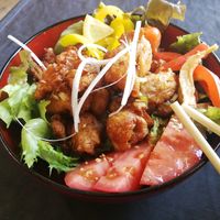 Karaage don at Onwa in Nara