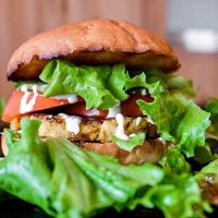 Teriyaki burger at Onwa in Nara
