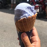 Coconut and flower ice cream at Torry's Ice Cream in Phuket