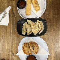 Spring rolls, dumplings and curry puffs - quick and easy options  at Tea Shrine in Alice Springs