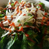 Vegan Pho at Saigon Bistro in Fayetteville
